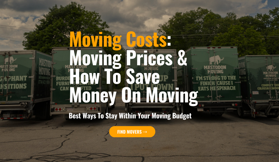 How Much Does A Move Cost